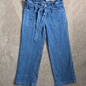 Candace Cameron Bure Pacific Denim Paperbag Wide Leg Jeans 16 Petite